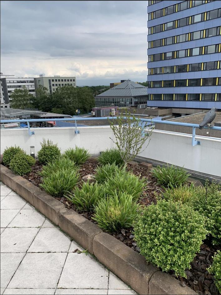 Im Herzen Von Wiesdorf- Blick Auf Das Bayer-Kreuz -Appartement Mit 2 Schlafzimmern-Fuer 3 Personen -Zentral Gelegen - Friedrich Ebert Platz 5A , 4Te Etage - Dachterrasse Und Sauna - Kaution Pflicht - Leverkusen Esterno foto